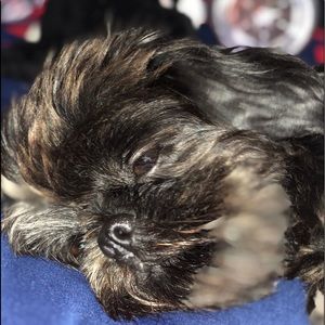 Meet your Posher, Shelly